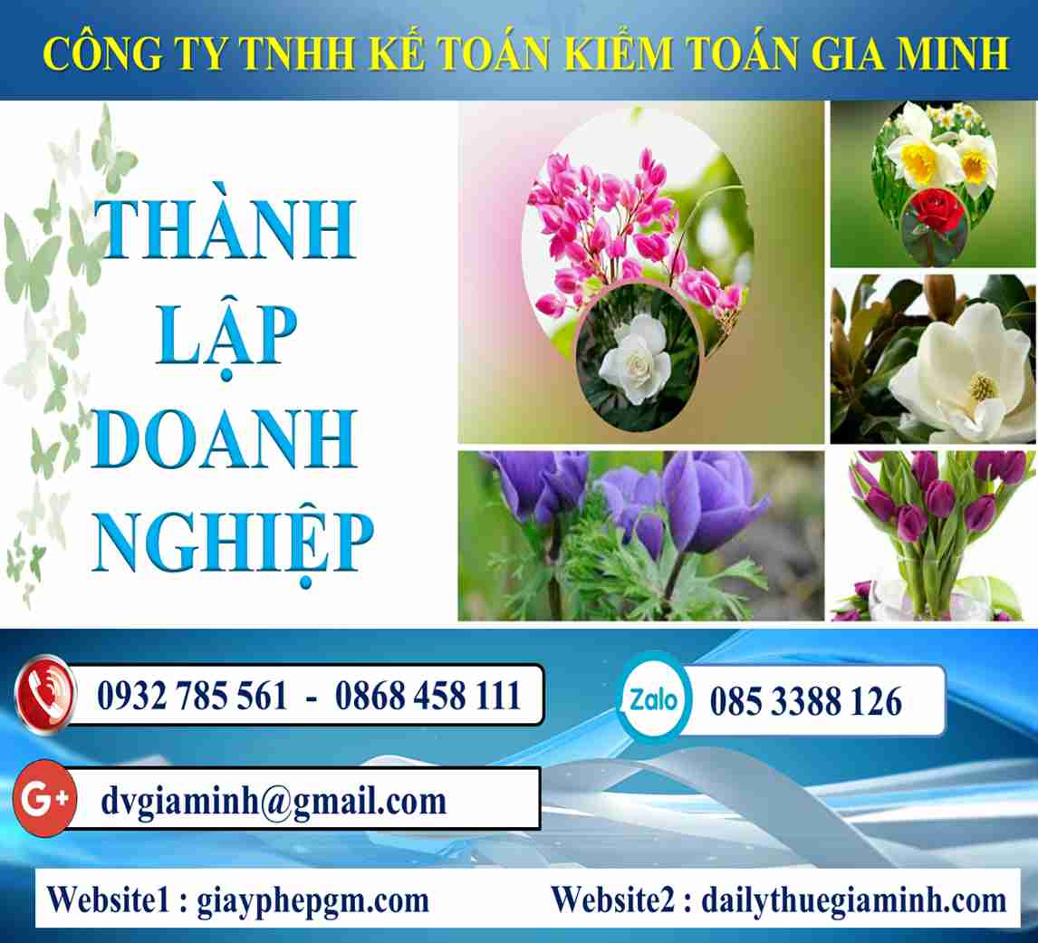 Thủ tục thành lập công ty tại Huyện đảo Cát Hải