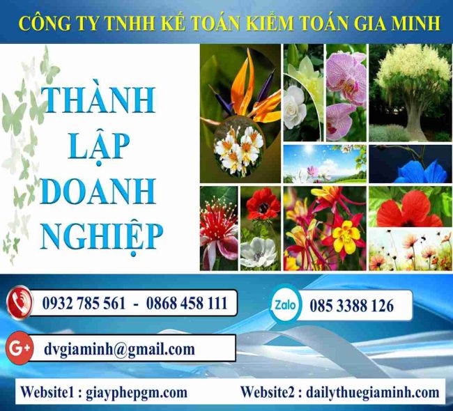 Thành lập doanh nghiệp tại Huyện Thủy Nguyên 4 Thủ tục thành lập công ty tại Huyện Thủy Nguyên