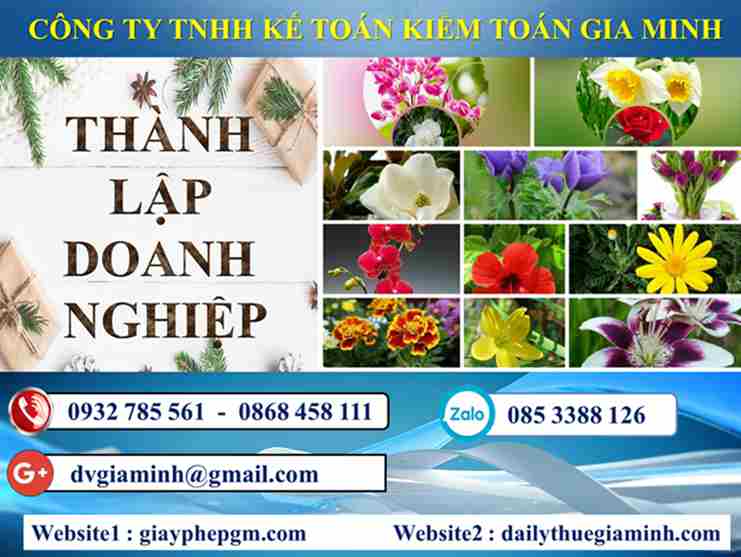 Thủ tục thành lập công ty tại Quận Hồng Bàng