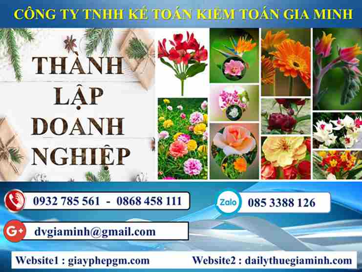 Thủ tục thành lập công ty tại Quận Sơn Trà