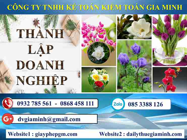 Thủ tục thành lập công ty tại Thành phố Hải Phòng