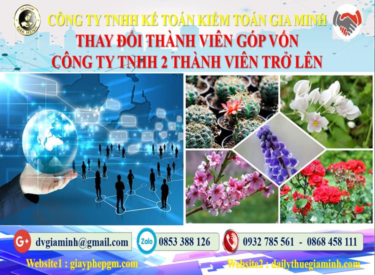 giayphepgm.com-thay-doi-thanh-vien-gop-von-cong-ty-tnhh-2-thanh-vien-tro-len-tai-an-giang