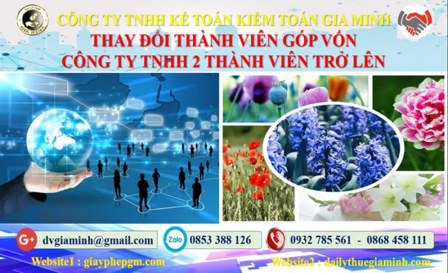 Thay đổi thành viên góp vốn công ty TNHH 2 thành viên Tiền Giang 4 Thay đổi thành viên góp vốn công ty TNHH 2 thành viên trở lên tại Tiền Giang