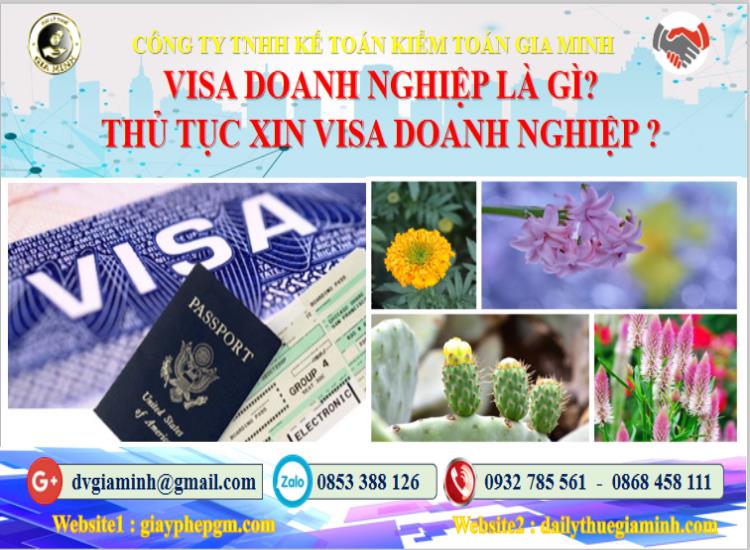 Thủ tục xin visa doanh nghiệp