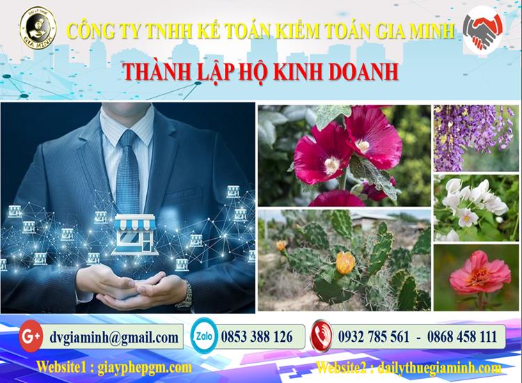 Xin giấy phép hộ kinh doanh tại Quảng Nam như thế nào? 4 Thủ tục thành lập hộ kinh doanh tại Quảng Nam