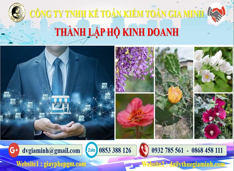 Xin giấy phép hộ kinh doanh tại TP Hải Phòng như thế nào? 4 Thủ tục thành lập hộ kinh doanh tại TP Hải Phòng