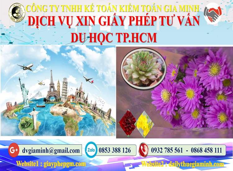Xin giấy phép tư vấn du học Quận Bình Tân 4 Đăng ký giấy phép tư vấn du học Quận Bình Tân