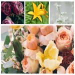 Tìm dịch vụ hải quan giá rẻ Huyện Bình Chánh