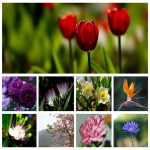 Tìm dịch vụ hải quan giá rẻ Quận 10