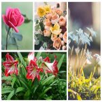 Tìm dịch vụ hải quan tại Hải Phòng