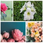 Dịch vụ hải quan Huyện Phú Xuyên 6 Tìm dịch vụ hải quan Huyện Phú Xuyên