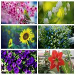 Tìm dịch vụ hải quan Bắc Ninh