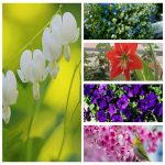 Tìm dịch vụ hải quan Đắk Lắk