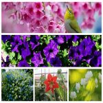 Dịch vụ hải quan uy tín Quận 8 6 Tìm dịch vụ hải quan Quận 8