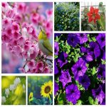 Dịch vụ hải quan uy tín Quận Cầu Giấy 6 Tìm dịch vụ hải quan Quận Cầu Giấy
