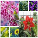 Dịch vụ hải quan uy tín Quận Đống Đa 6 Tìm dịch vụ hải quan Quận Đống Đa