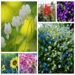 Dịch vụ hải quan uy tín Quận Hoàng Mai 6 Tìm dịch vụ hải quan Quận Hoàng Mai