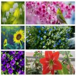 Dịch vụ hải quan uy tín Quận Nam Từ Liêm 6 Tìm dịch vụ hải quan Quận Nam Từ Liêm