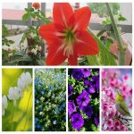Dịch vụ hải quan uy tín Thành Phố Hà Nội 6 Tìm dịch vụ hải quan Thành Phố Hà Nội