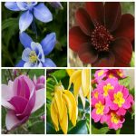 Muốn thay đổi giấy phép kinh doanh giá rẻ tại Bạc Liêu