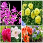 Dịch vụ thay đổi giấy phép kinh doanh giá rẻ tại Cần Thơ 6 Muốn thay đổi giấy phép kinh doanh giá rẻ tại Cần Thơ