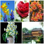 Dịch vụ kế toán tại Hà Giang 6 Tìm kế toán tại Hà Giang