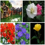 Dịch vụ thay đổi giấy phép kinh doanh giá rẻ tại Hà Nội 6 Muốn thay đổi giấy phép kinh doanh giá rẻ tại Hà Nội