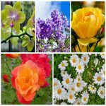 Dịch vụ thay đổi giấy phép kinh doanh giá rẻ tại Hậu Giang 6 Muốn thay đổi giấy phép kinh doanh giá rẻ tại Hậu Giang