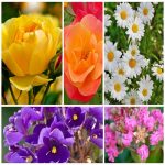 Dịch vụ thay đổi giấy phép kinh doanh giá rẻ tại Hòa Bình 6 Muốn thay đổi giấy phép kinh doanh giá rẻ tại Hòa Bình