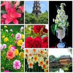 Tìm kế toán tại Huyện An Lão