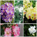 Dịch vụ thay đổi giấy phép kinh doanh giá rẻ tại Huyện Bình Chánh 6 Muốn thay đổi giấy phép kinh doanh giá rẻ tại Huyện Bình Chánh