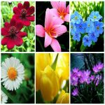 Dịch vụ kế toán tại Lạng Sơn 6 Tìm kế toán tại Lạng Sơn