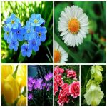 Dịch vụ thay đổi giấy phép kinh doanh giá rẻ tại Lào Cai 6 Muốn thay đổi giấy phép kinh doanh giá rẻ tại Lào Cai