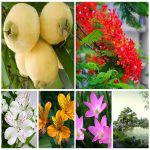 Dịch vụ thay đổi giấy phép kinh doanh giá rẻ tại Nha Trang 6 Muốn thay đổi giấy phép kinh doanh giá rẻ tại Nha Trang