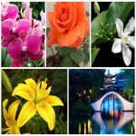 Dịch vụ thay đổi giấy phép kinh doanh giá rẻ tại Phú Thọ 6 Muốn thay đổi giấy phép kinh doanh giá rẻ tại Phú Thọ
