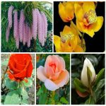 Dịch vụ thay đổi giấy phép kinh doanh giá rẻ tại Quận 1 6 Muốn thay đổi giấy phép kinh doanh giá rẻ tại Quận 1