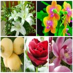 Dịch vụ kế toán tại Quận 11 6 Tìm kế toán tại Quận 11