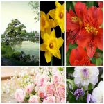 Muốn thay đổi giấy phép kinh doanh giá rẻ tại Quận 4