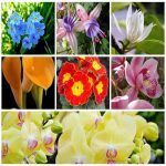 Dịch vụ kế toán tại Quận Đồ Sơn 6 Tìm kế toán tại Quận Đồ Sơn
