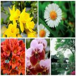 Tìm kế toán tại Quận Hai Bà Trưng