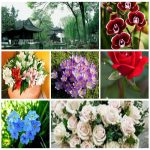 Tìm kế toán tại Quận Liên Chiểu