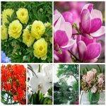 Dịch vụ thay đổi giấy phép kinh doanh giá rẻ tại Sóc Trăng 7 Muốn thay đổi giấy phép kinh doanh giá rẻ tại Sóc Trăng