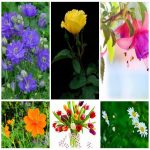 Muốn thay đổi giấy phép kinh doanh giá rẻ tại Thành phố Hà Nội