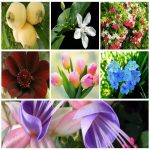 Tìm kế toán tại Thành phố Hải Phòng