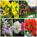 Dịch vụ thay đổi giấy phép kinh doanh giá rẻ tại Thành phố Hồ Chí Minh 6 Muốn thay đổi giấy phép kinh doanh giá rẻ tại Thành phố Hồ Chí Minh