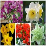 Dịch vụ thay đổi giấy phép kinh doanh giá rẻ tại Thị xã Sơn Tây 6 Muốn thay đổi giấy phép kinh doanh giá rẻ tại Thị xã Sơn Tây