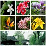 Dịch vụ thay đổi giấy phép kinh doanh giá rẻ tại TP Đà Nẵng 6 Muốn thay đổi giấy phép kinh doanh giá rẻ tại TP Đà Nẵng