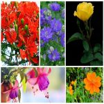 Dịch vụ thay đổi giấy phép kinh doanh giá rẻ tại TP Hà Nội 6 Muốn thay đổi giấy phép kinh doanh giá rẻ tại TP Hà Nội