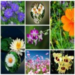 Dịch vụ thay đổi giấy phép kinh doanh giá rẻ tại Tuyên Quang 6 Muốn thay đổi giấy phép kinh doanh giá rẻ tại Tuyên Quang
