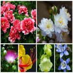 Dịch vụ thay đổi giấy phép kinh doanh giá rẻ tại Vũng Tàu 6 Muốn thay đổi giấy phép kinh doanh giá rẻ tại Vũng Tàu